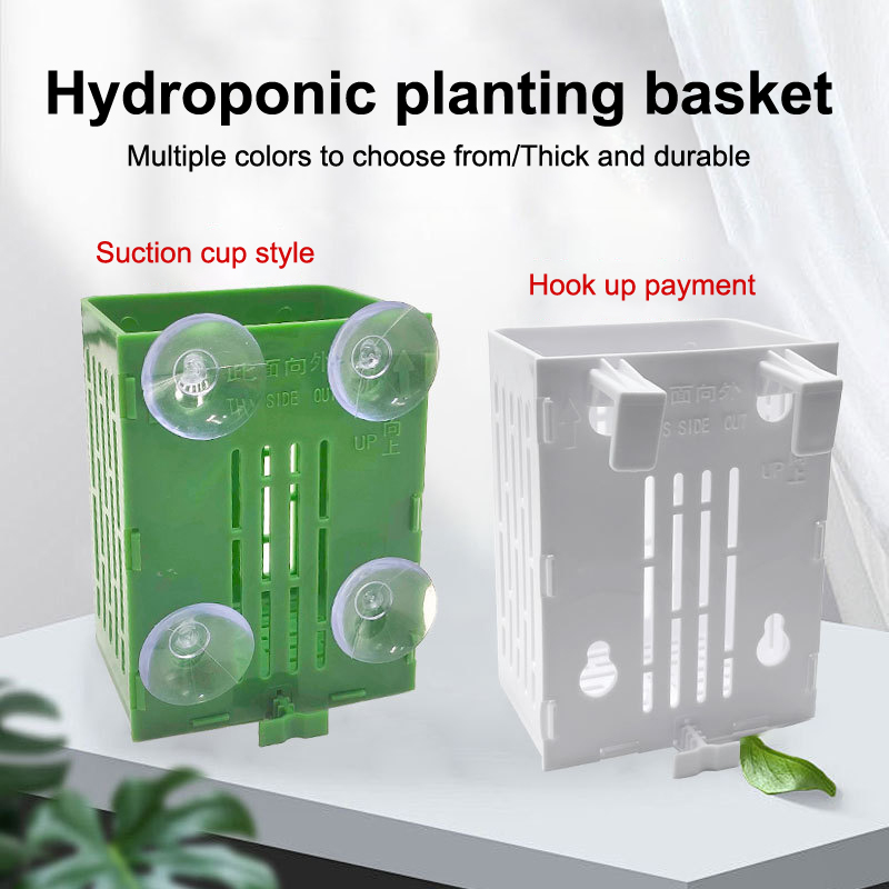 Plant Aquarium Pot - Asılı Vantuzlu Kanca Akvaryum Bitki Tutucu