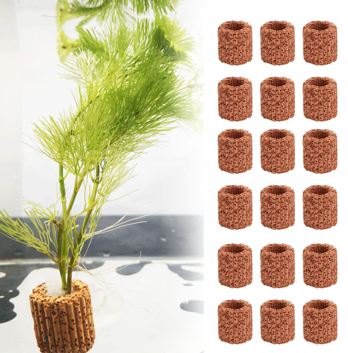 Plant Aquarium Pot - 10/20 adet sucul su tesisi sabit