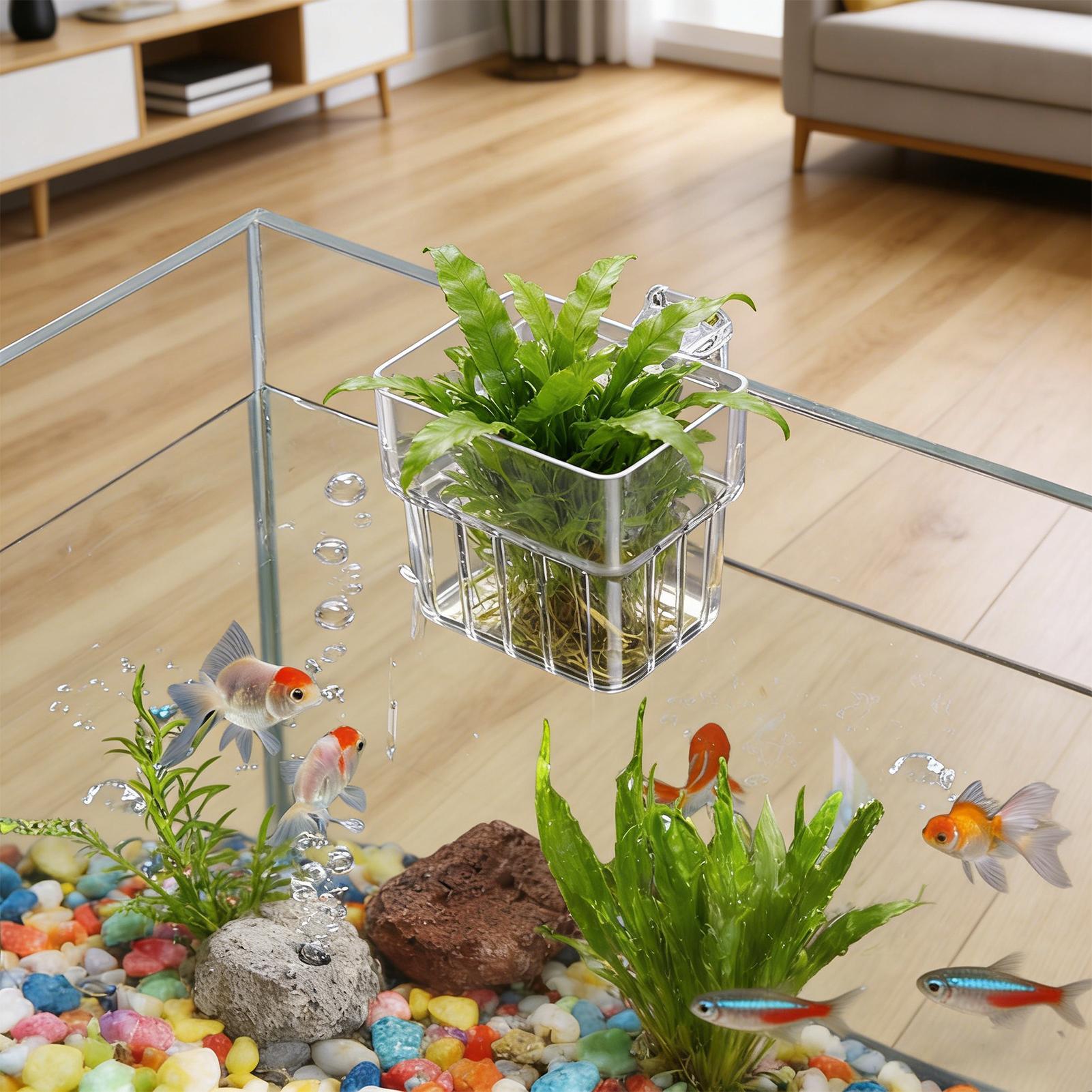 Aquarium Plant Holder - Balık Tankı Sabit Sepet Duvara Monte