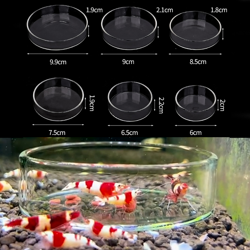 Aquarium Fertilizer - Karides besleme kabı Yüksek Şeffaf Cam
