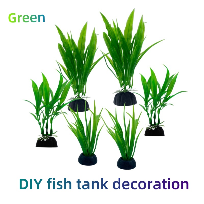 Live Plant Aquarium - 6 adetlik paketler halinde sunulan akvaryum
