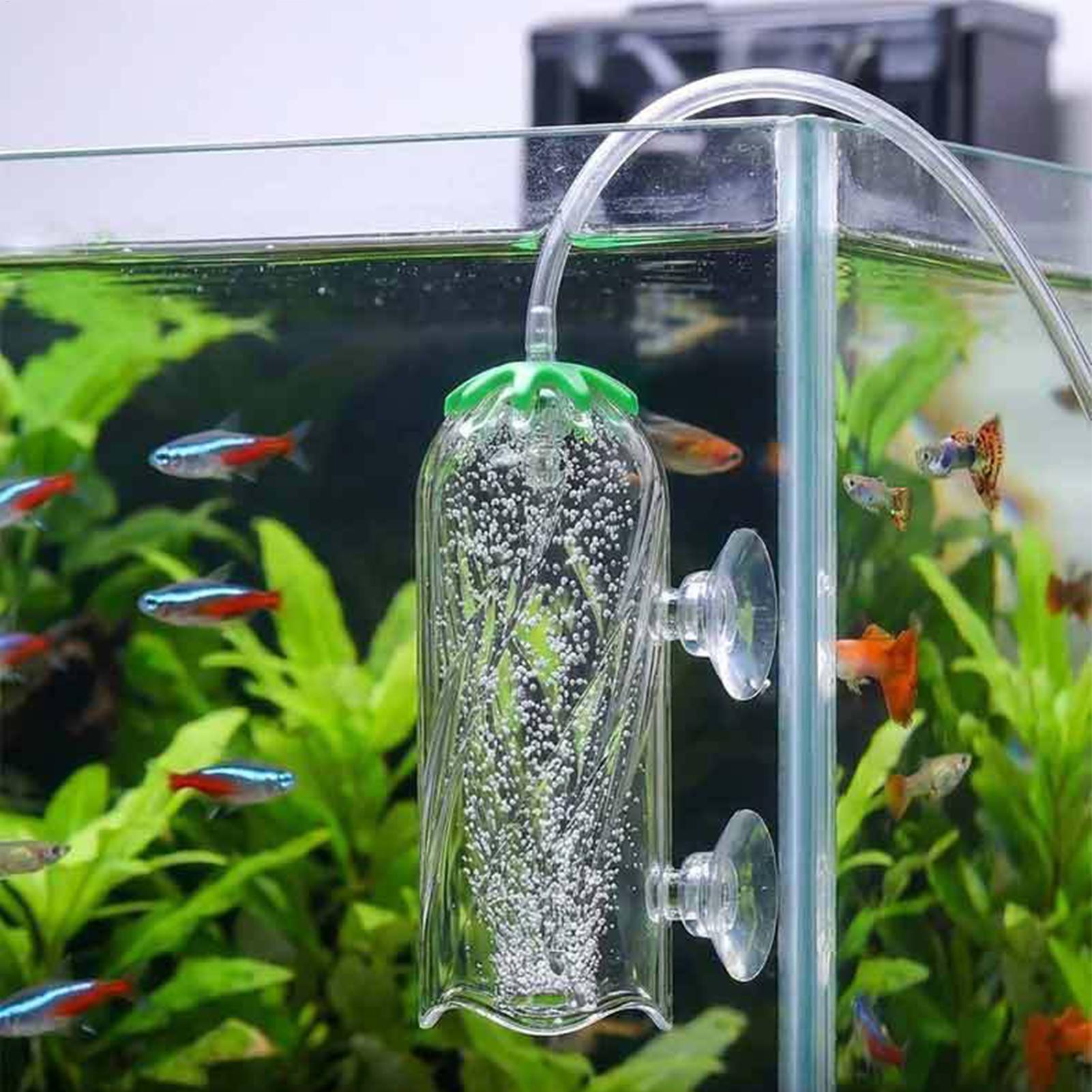 Balık Tankı Oksijen Difüzörü,  - Aquarium Planted Tank Filter incelemesi ve fiyatı