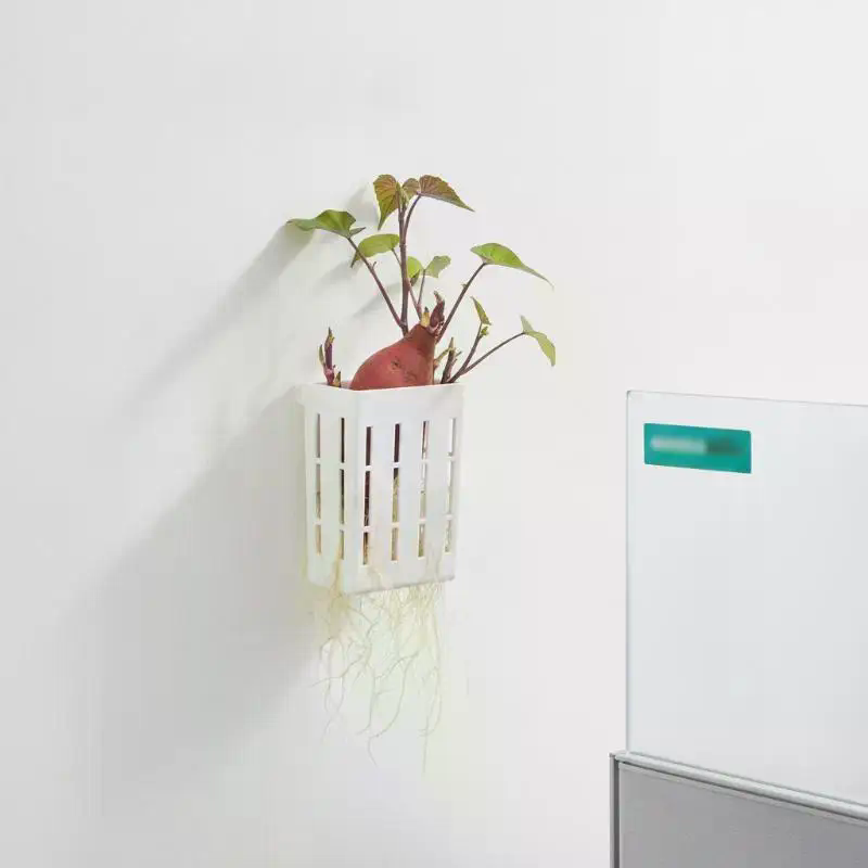 1 Adet Hidroponik Destek Sepet - Planted Tank incelemesi ve fiyatı