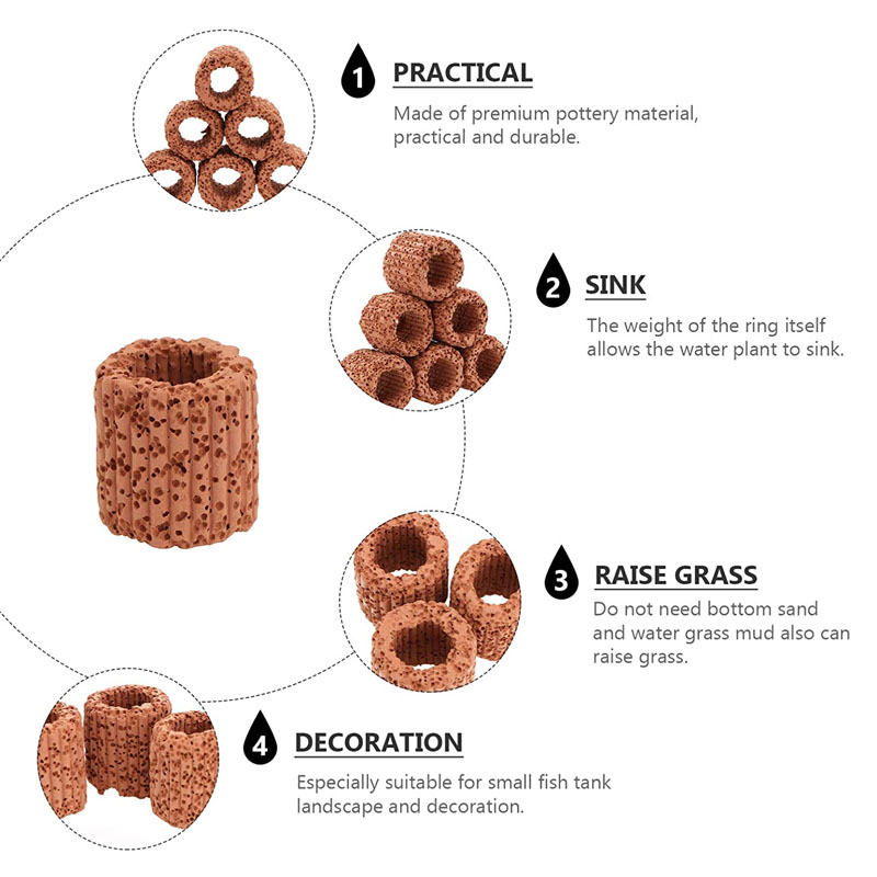 Su bitkisi sabit halka akvaryu - Plant Aquarium Pot incelemesi ve fiyatı