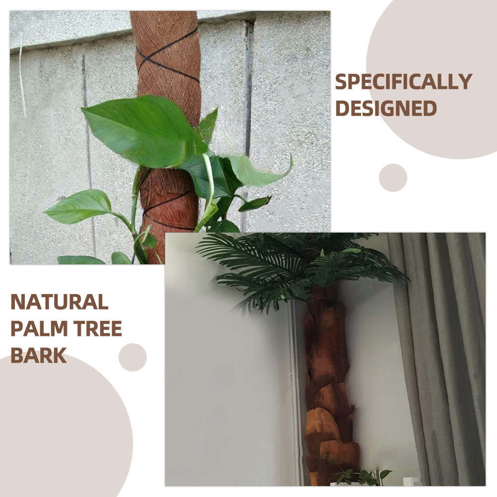 5 Adet Doğal Palmiye Ağacı Kab - Plant Aquarium Pot incelemesi ve fiyatı