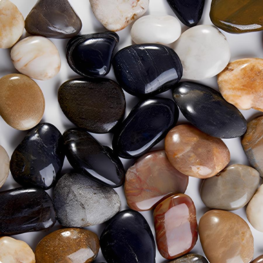 300-700g Düz Yüzeyli Nehir Çak - Plant Aquarium Pot incelemesi ve fiyatı