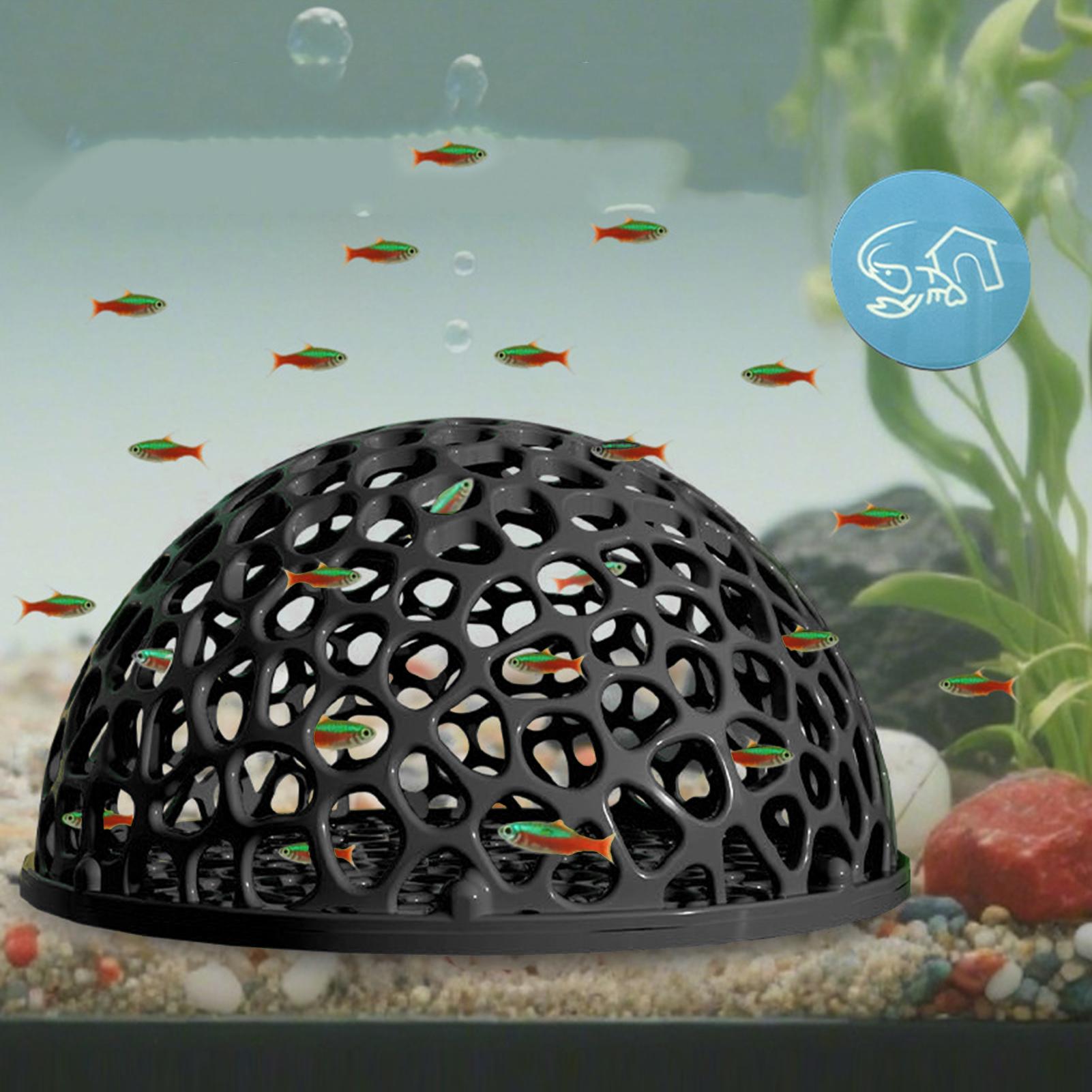 Küçük Balıklar ve Karidesler İ - Aquarium Plant Holder incelemesi ve fiyatı