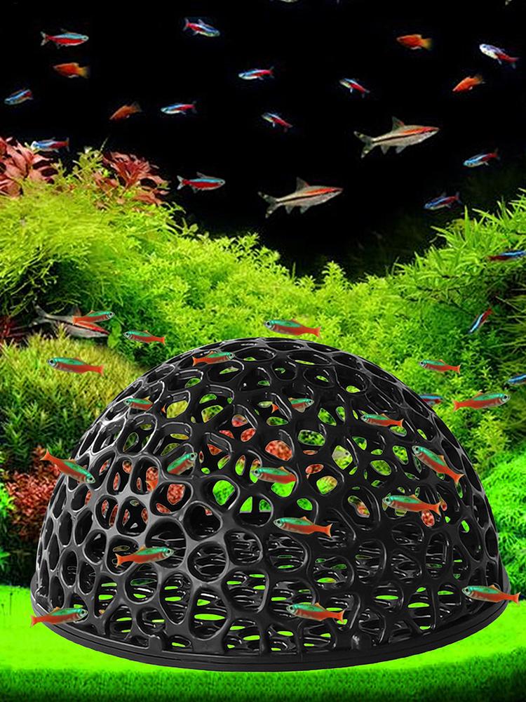 Küçük Balıklar ve Karidesler İ - Aquarium Plant Holder incelemesi ve fiyatı