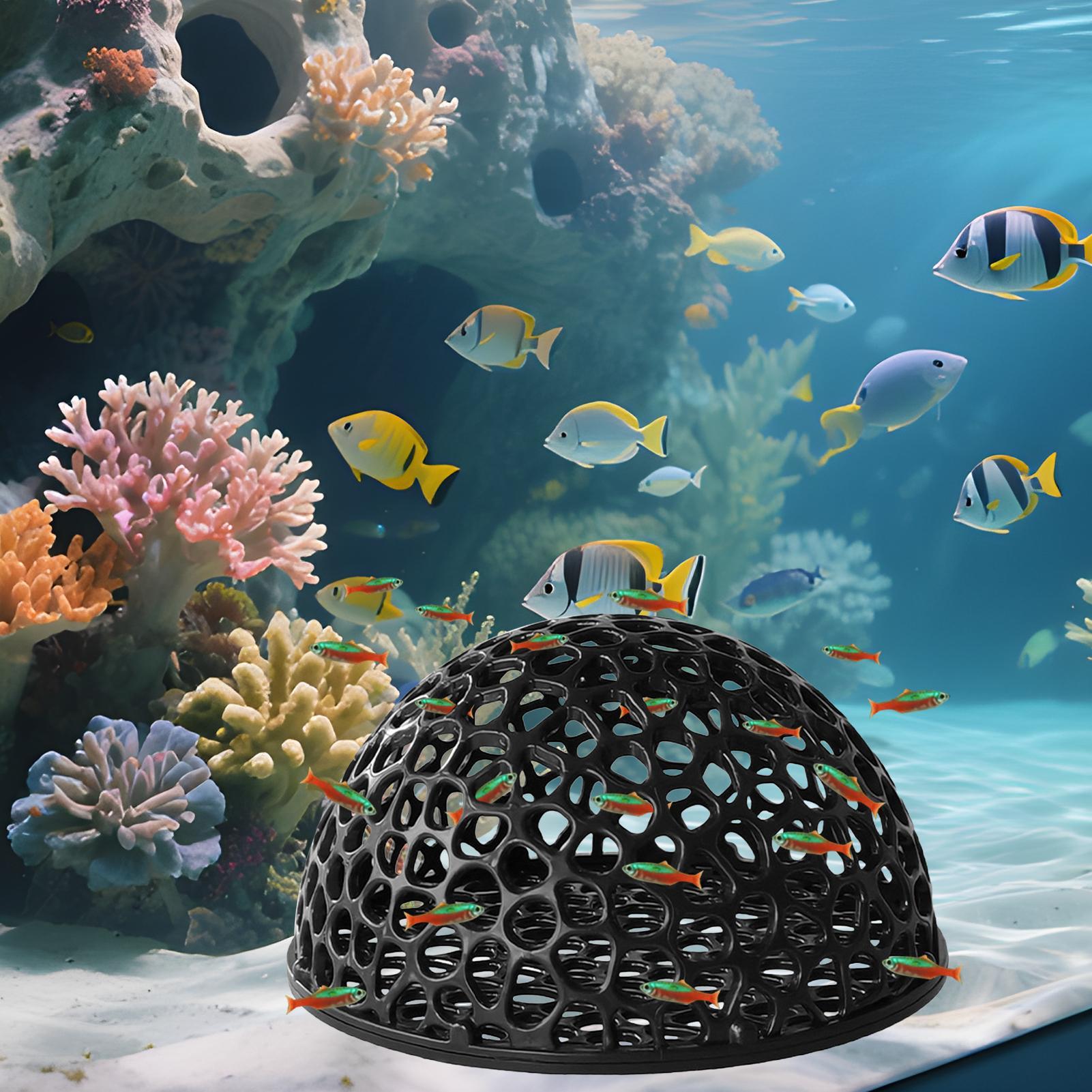 Küçük Balıklar ve Karidesler İ - Aquarium Plant Holder incelemesi ve fiyatı