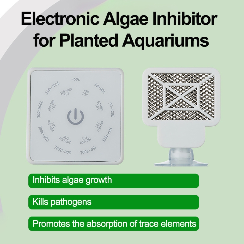 Elektronik Akvaryum Balık Tank - Planted Aquarium Cleaning incelemesi ve fiyatı