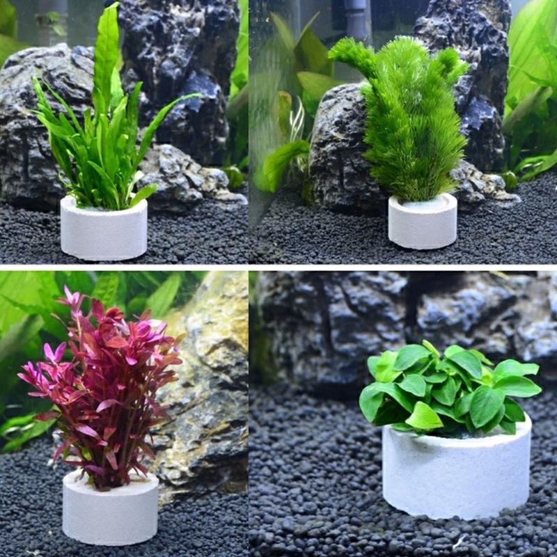 37ME 10 Adet Akvaryum Bitki Sa - Aquarium Plant Holder incelemesi ve fiyatı
