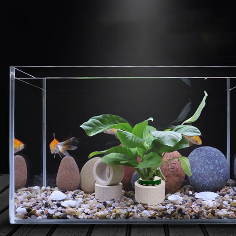 37ME 10 Adet Akvaryum Bitki Sa - Aquarium Plant Holder incelemesi ve fiyatı