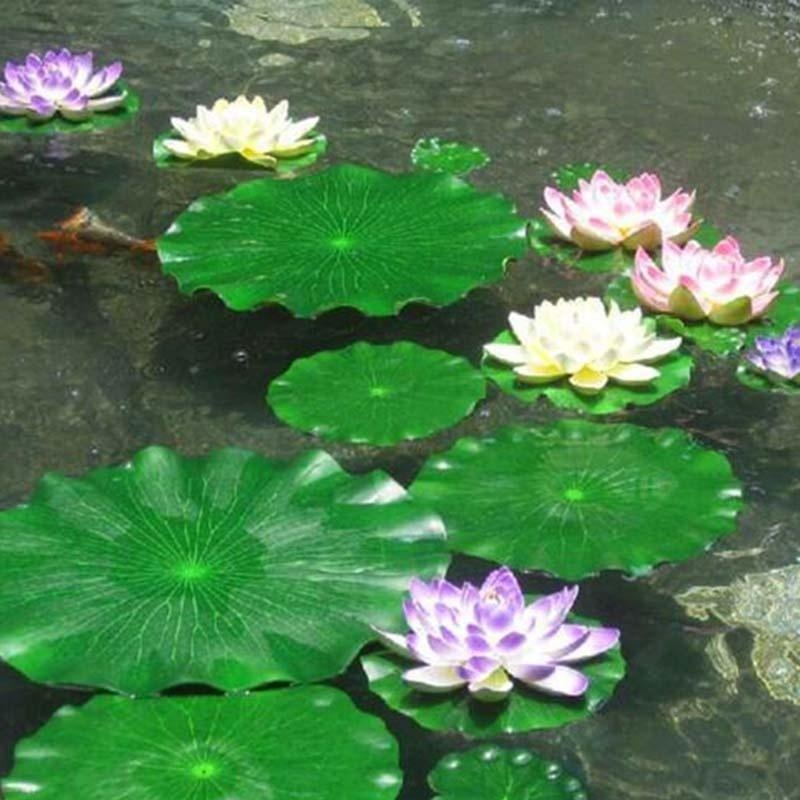 2026 Yapay Nilüfer Yaprakları  - Aquarium Moss incelemesi ve fiyatı