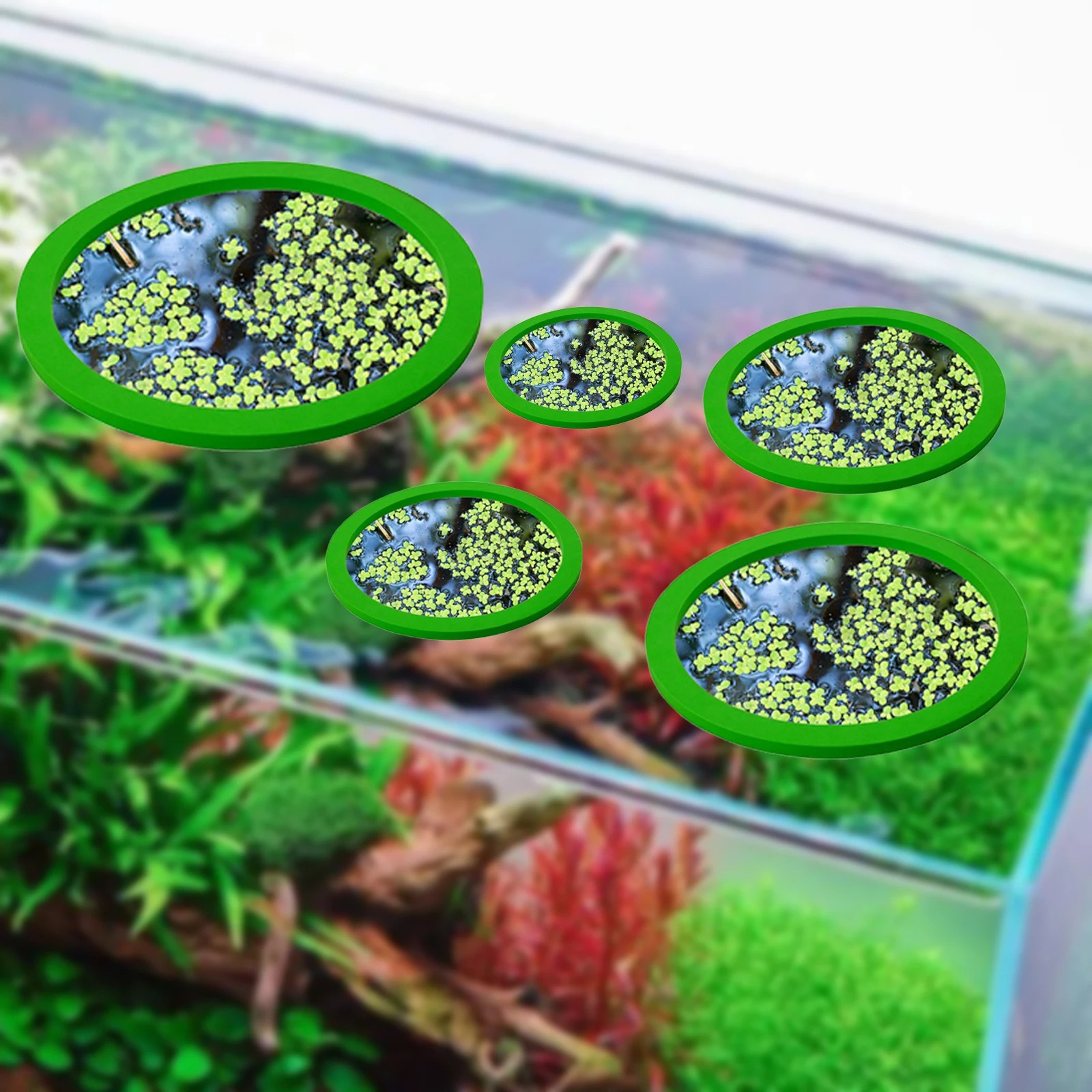 5 adet EVA balık besleme halka - Planted Tank incelemesi ve fiyatı