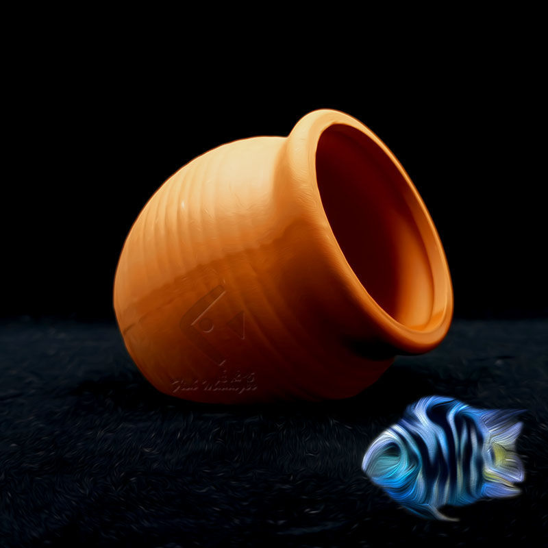 Akvaryum Mini seramik tankı ba - Plant Aquarium Pot incelemesi ve fiyatı