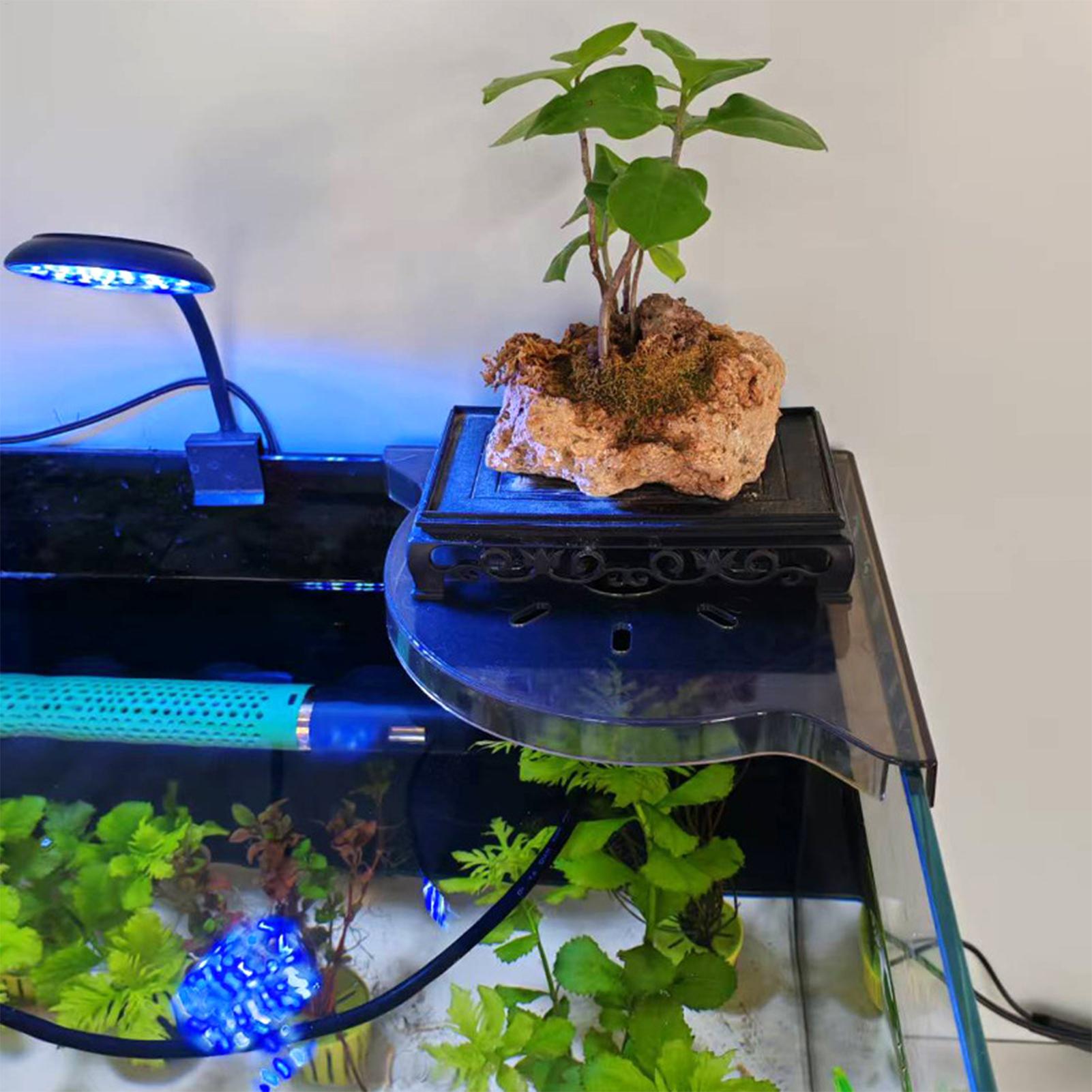Üçgen Balık Tankı Köşe Depolam - Aquarium Plant Holder incelemesi ve fiyatı