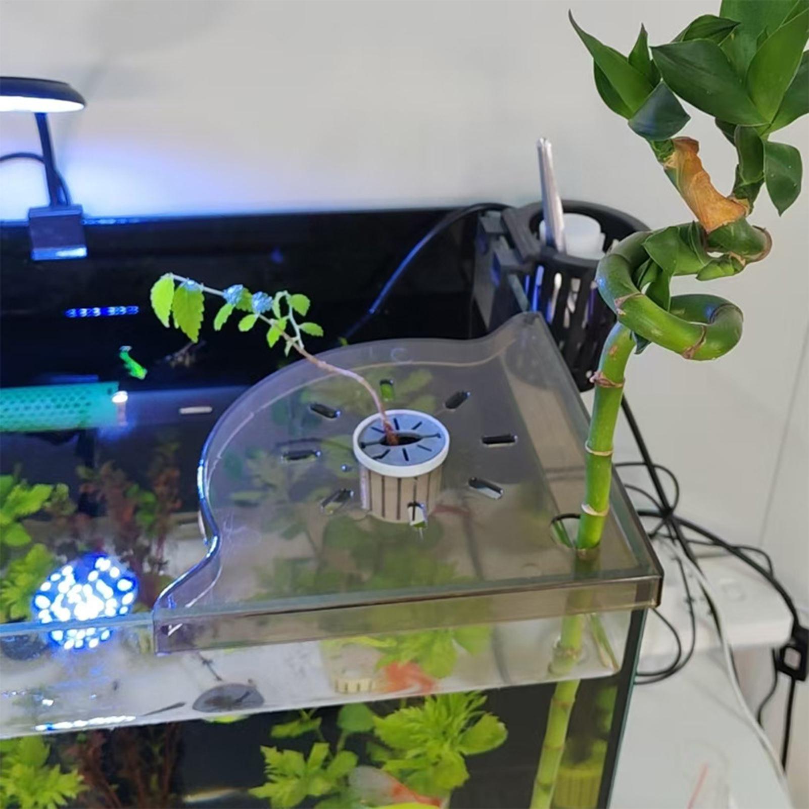 Üçgen Balık Tankı Köşe Depolam - Aquarium Plant Holder incelemesi ve fiyatı