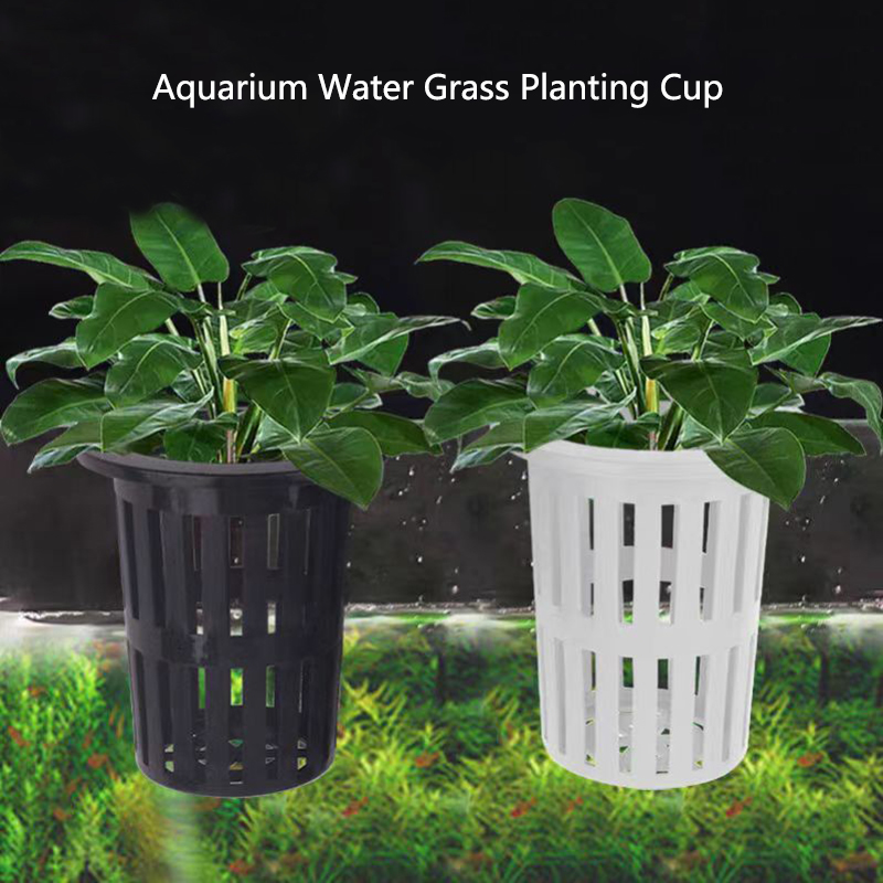 1/3 adet akvaryum bitki sepeti - Aquarium Plant Holder incelemesi ve fiyatı