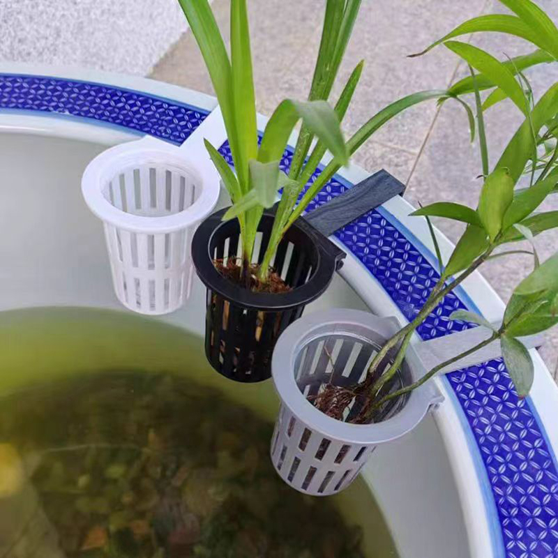 1/3 adet akvaryum bitki sepeti - Aquarium Plant Holder incelemesi ve fiyatı