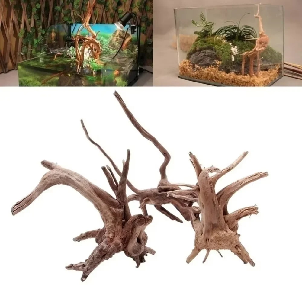 15-20CM Doğal Kök Ağacı Akvary - Aquarium Plant Substrate incelemesi ve fiyatı