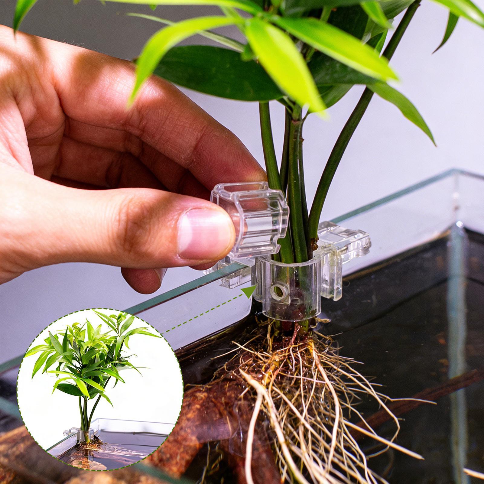 Mini Balık Tankı Saksı 6 Adet  - Aquarium Fertilizer incelemesi ve fiyatı