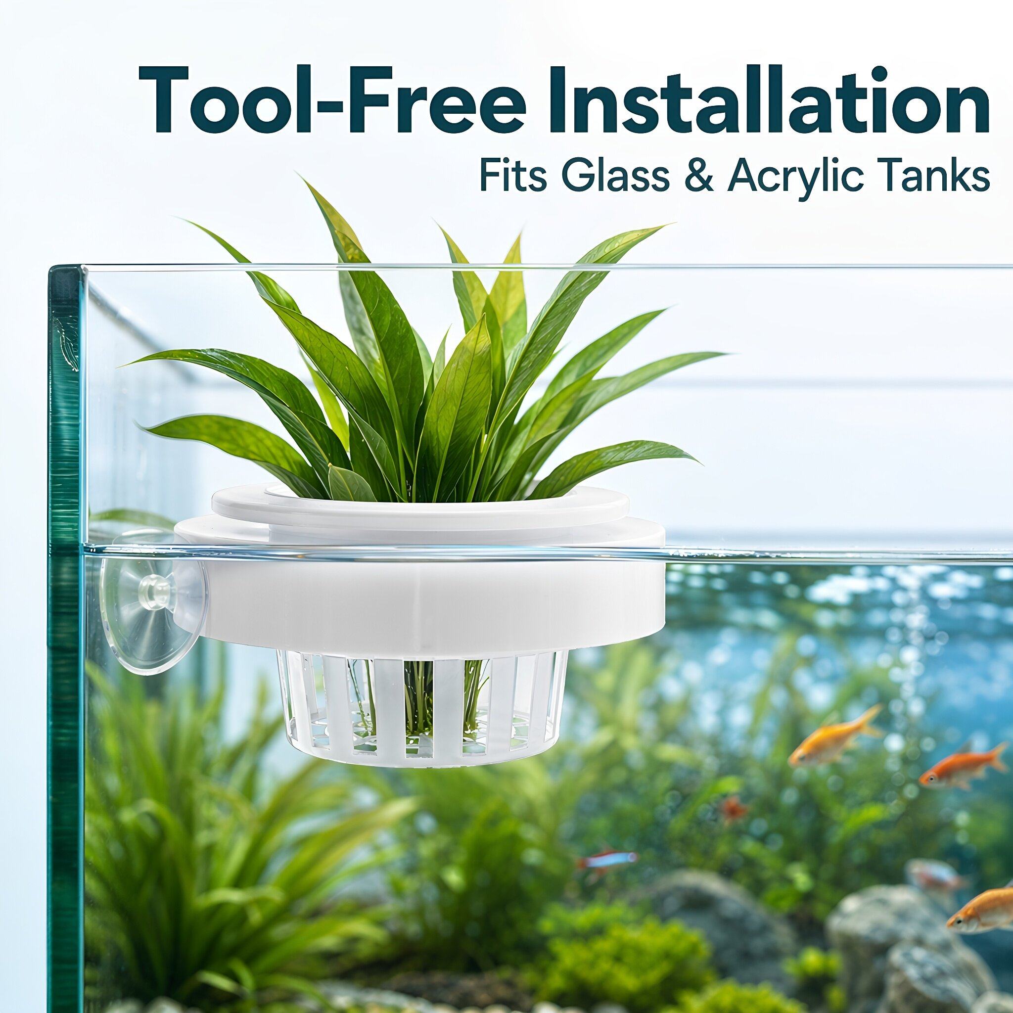 4 adet Yüzen Akvaryum Bitki Se - Planted Tank incelemesi ve fiyatı