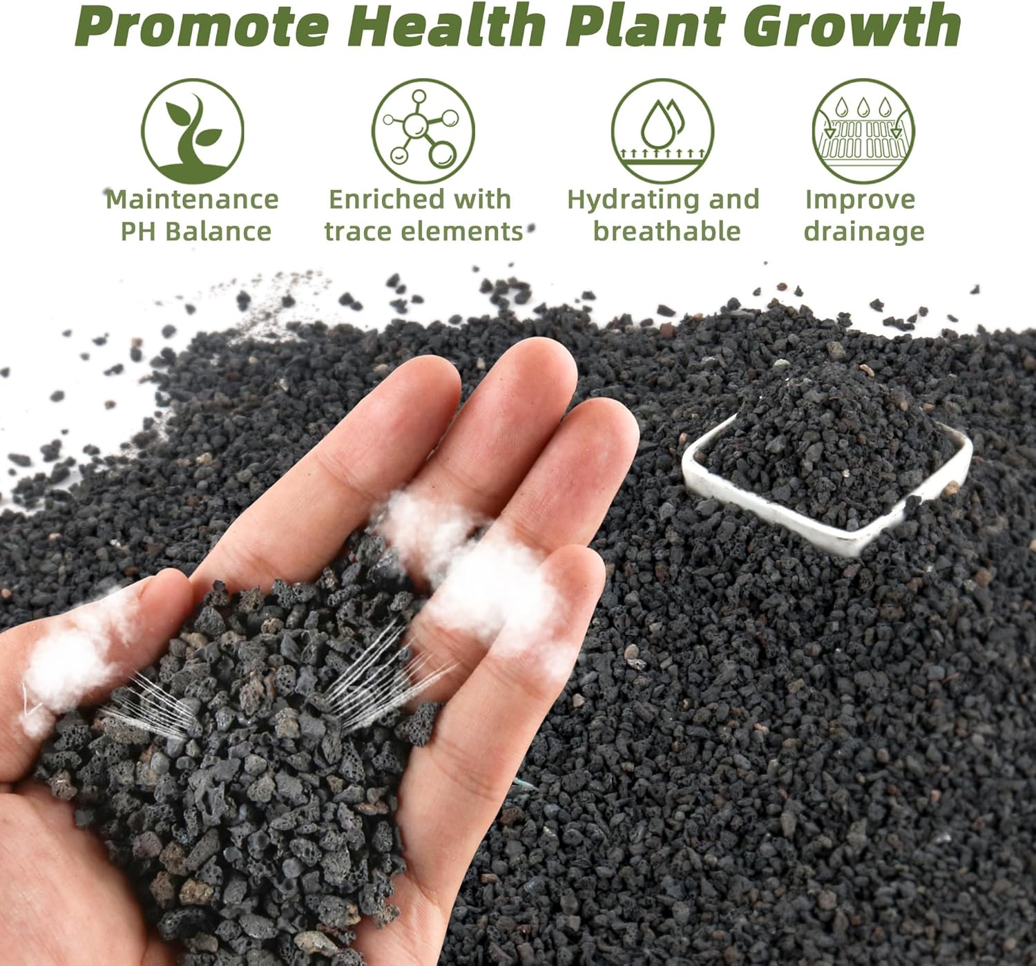 3 lb ağırlığında siyah akvaryu - Plant Aquarium Pot incelemesi ve fiyatı