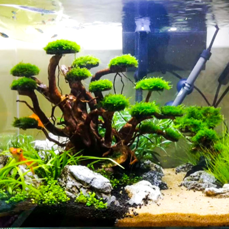 Akvaryum Peyzaj Süslemeleri Yo - Aquarium Moss incelemesi ve fiyatı