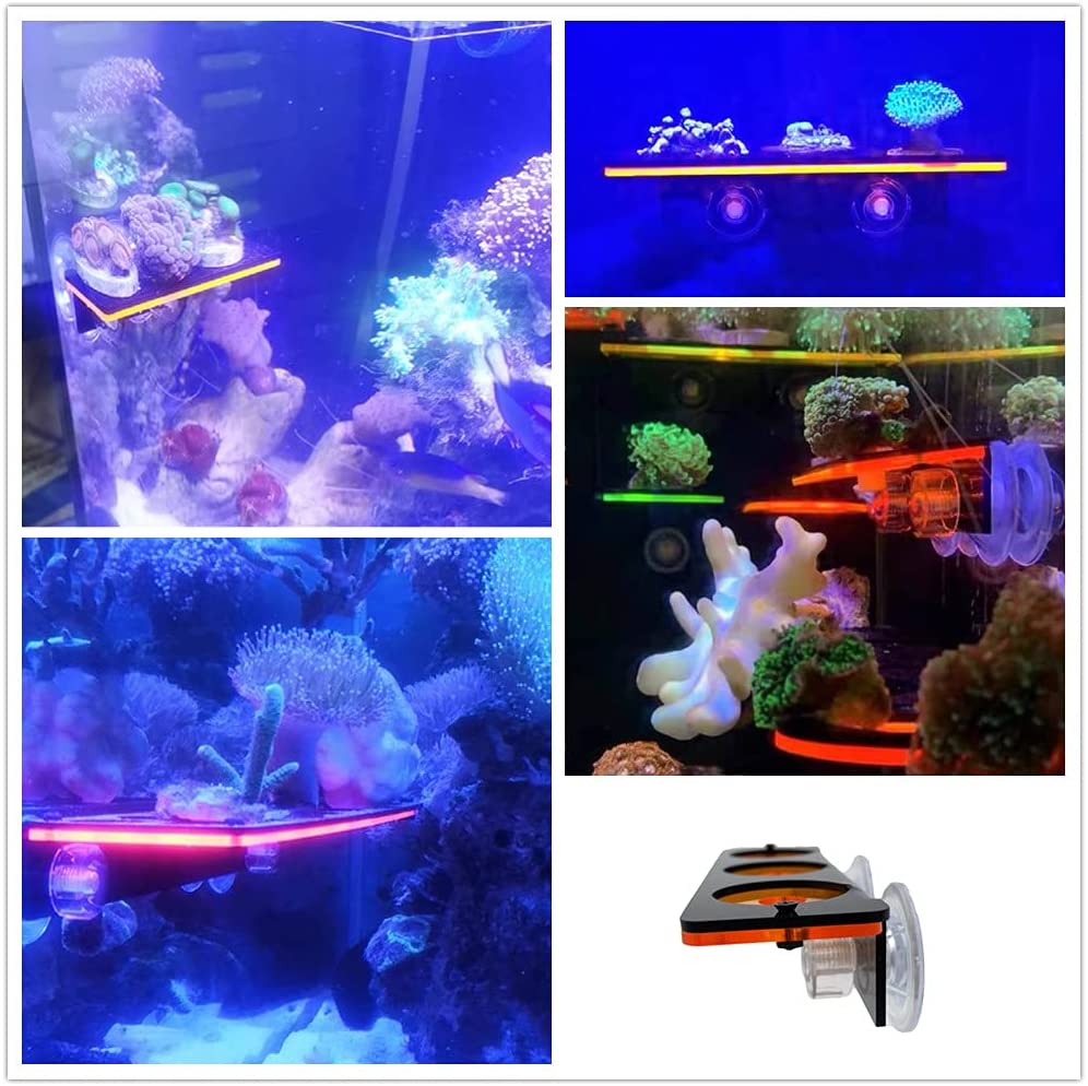 Floresan Mercan Frag Fiş Brake - Aquarium Plant Holder incelemesi ve fiyatı
