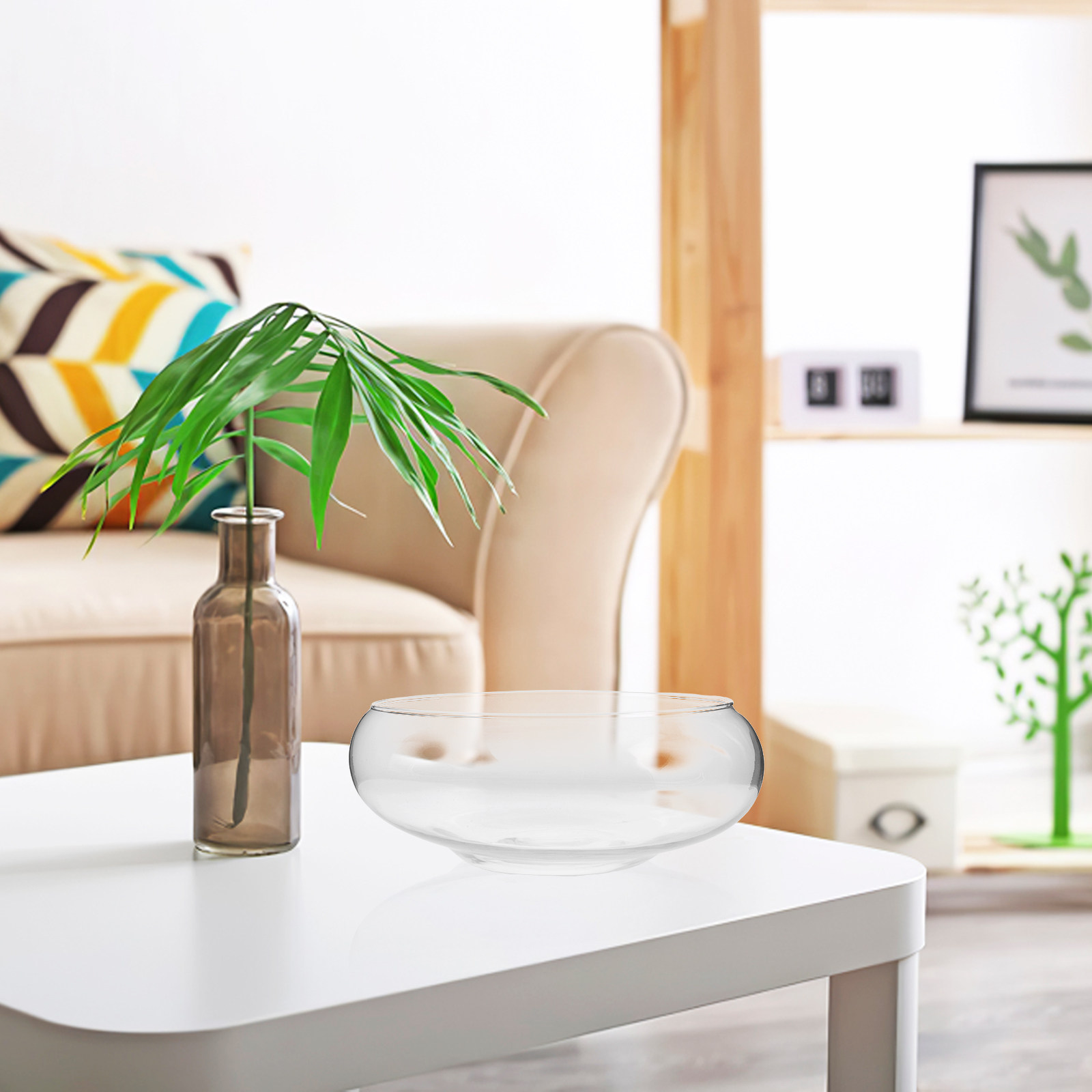 Sukulentler, Para Bitkileri ve - Planted Tank incelemesi ve fiyatı